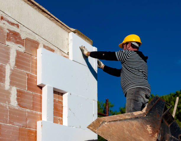 Best Insulation Maintenance and Repair in Des Plaines, IL