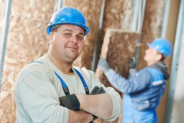 Best Residential Insulation in Des Plaines, IL